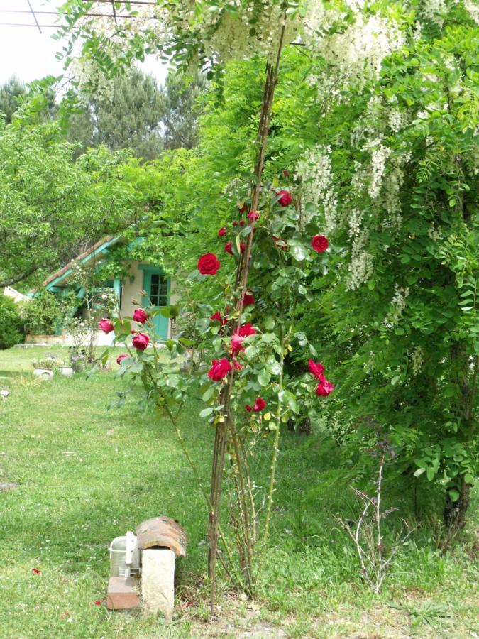 Les Hotes Landes Saint-Gor Dış mekan fotoğraf
